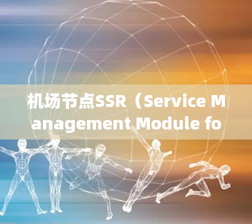机场节点SSR（Service Management Module for Airports）是一个高度复杂的系统，旨在优化机场资源分配和管理。以下是关于SSR的关键点的详细总结