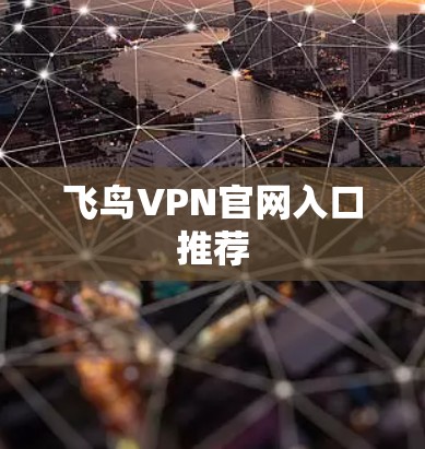 飞鸟VPN官网入口推荐