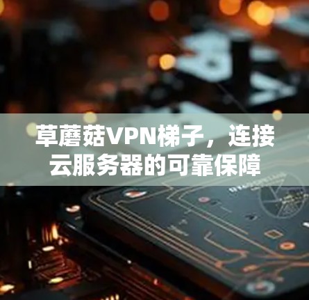 草蘑菇VPN梯子，连接云服务器的可靠保障