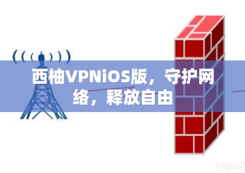 西柚VPNiOS版,守护网络,释放自由 西柚VPNiOS版,守护网络,释放自由