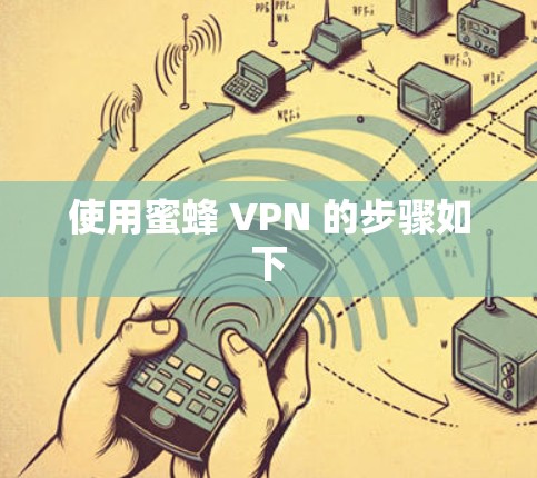使用蜜蜂 VPN 的步骤如下