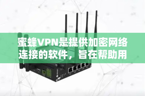 蜜蜂VPN是提供加密网络连接的软件，旨在帮助用户在安全和便捷之间找到最佳选择。以下是对蜜蜂VPN的详细分析