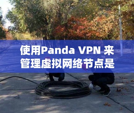 使用Panda VPN 来管理虚拟网络节点是一个系统性的过程，涉及多个步骤和功能。以下是对该过程的分步说明，帮助您更好地理解和操作Panda VPN