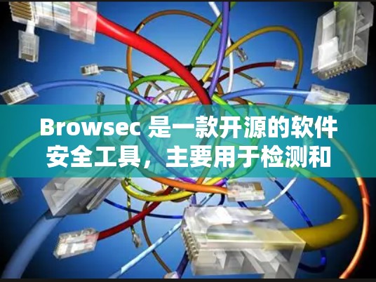 Browsec 是一款开源的软件安全工具，主要用于检测和修复软件漏洞。如果你需要下载它，可以通过以下方式获取