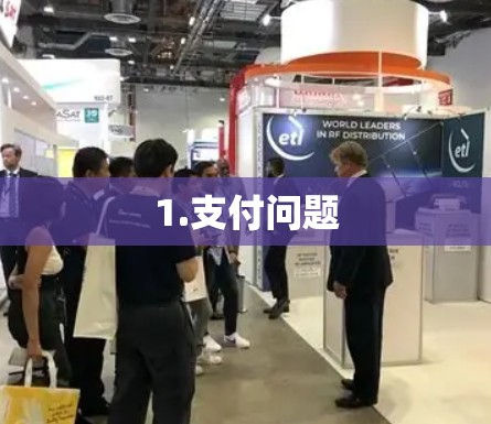 1.支付问题