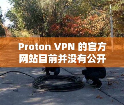 Proton VPN 的官方网站目前并没有公开的网站，因为其主要提供的是通过其应用程序和API来实现的VPN服务，而不是提供官方网站。因此，无法直接访问其官方网站