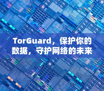 TorGuard，保护你的数据，守护网络的未来