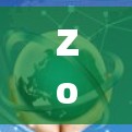 Zoog VPN，网络安全的优质选择
