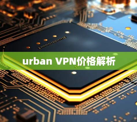 urban VPN价格解析