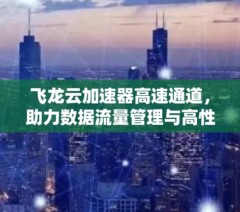 飞龙云加速器高速通道，助力数据流量管理与高性能云服务