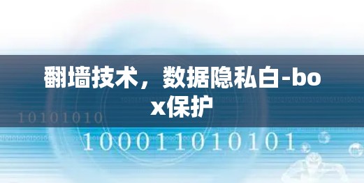 翻墙技术，数据隐私白-box保护