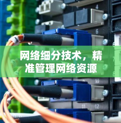 网络细分技术，精准管理网络资源