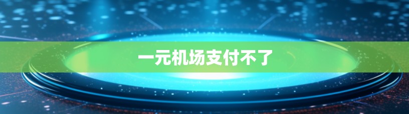 一元机场支付不了