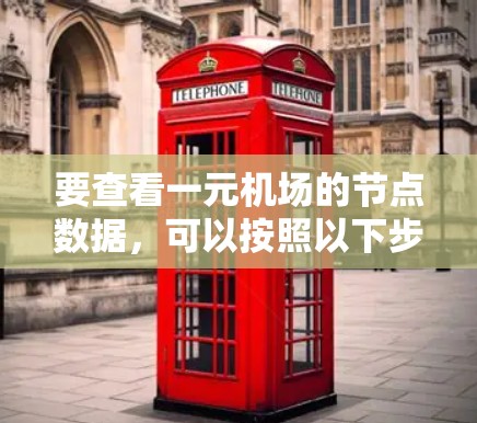 要查看一元机场的节点数据，可以按照以下步骤进行