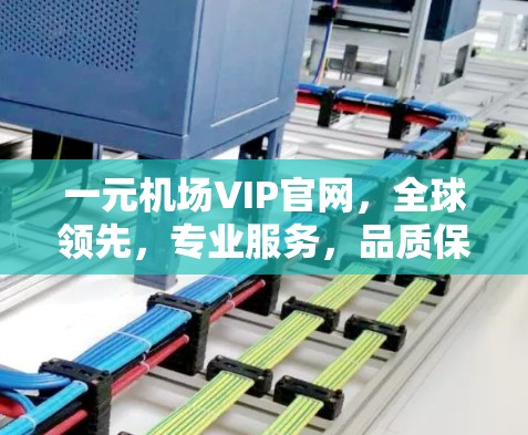 一元机场VIP官网，全球领先，专业服务，品质保障