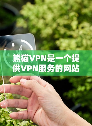 熊猫VPN是一个提供VPN服务的网站，建议在下载之前进行以下检查