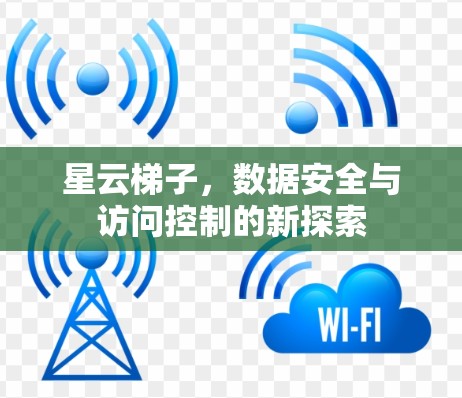 星云梯子，数据安全与访问控制的新探索