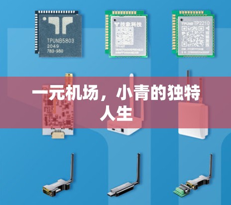 一元机场，小青的独特人生