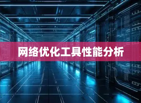 网络优化工具性能分析