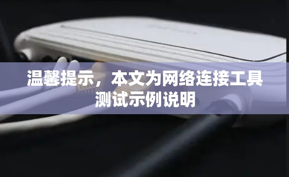 温馨提示，本文为网络连接工具测试示例说明