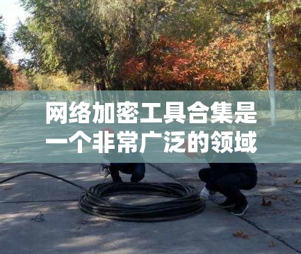 网络加密工具合集是一个非常广泛的领域，涵盖了多种加密技术、工具和平台。以下是一些常见的网络加密工具及其适用场景，供您参考