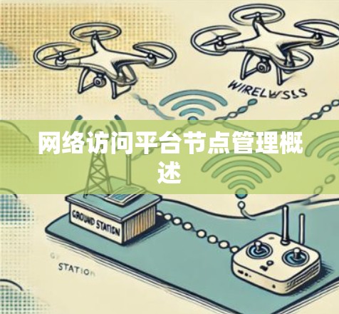 网络访问平台节点管理概述