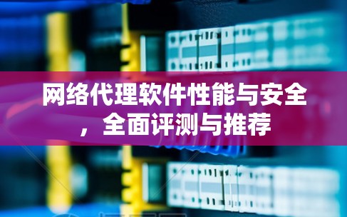 网络代理软件性能与安全，全面评测与推荐