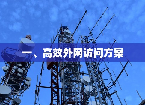 一、高效外网访问方案