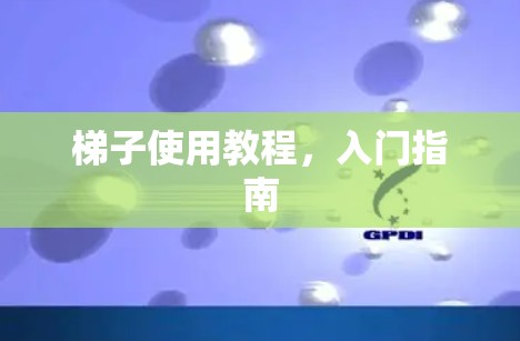梯子使用教程，入门指南