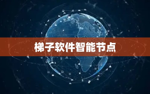 梯子软件智能节点