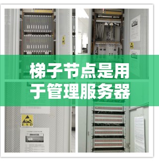 梯子节点是用于管理服务器的网络配置工具，分为主节点和子节点。以下是详细的配置步骤和注意事项