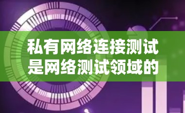 私有网络连接测试是网络测试领域的重要组成部分，涉及在私有网络中进行设备之间的连接测试。以下是对私有网络连接测试的详细指南