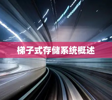 梯子式存储系统概述