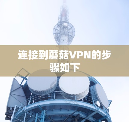 连接到蘑菇VPN的步骤如下 连接到蘑菇VPN的步骤如下