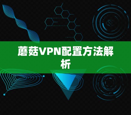 蘑菇VPN配置方法解析 蘑菇VPN配置方法解析