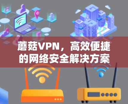 蘑菇VPN，高效便捷的网络安全解决方案
