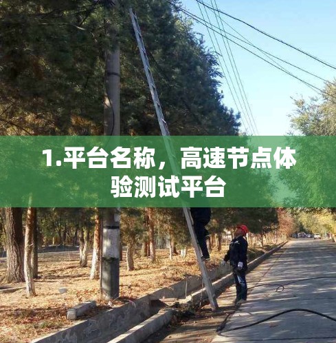 1.平台名称，高速节点体验测试平台