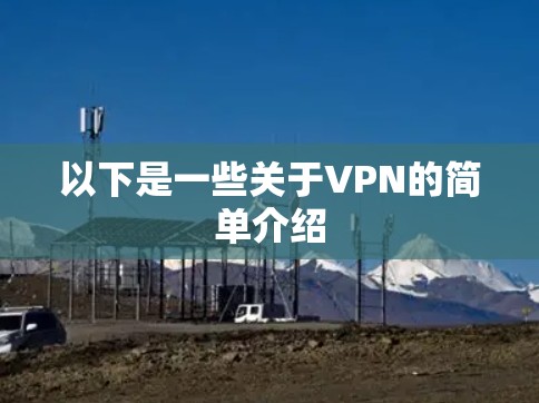 以下是一些关于VPN的简单介绍 以下是一些关于VPN的简单介绍